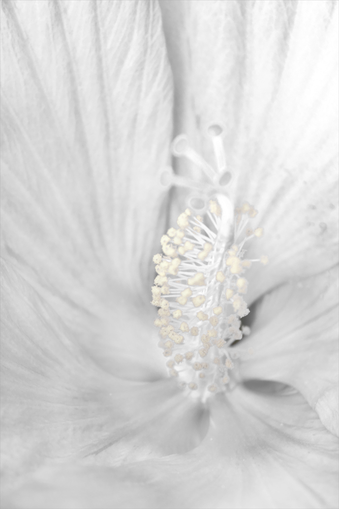 AL00854