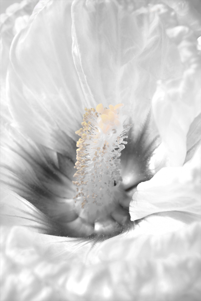 AL00856