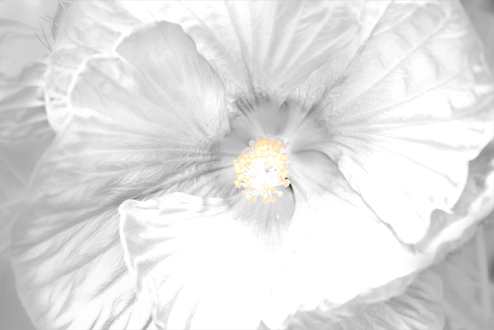 AL00860