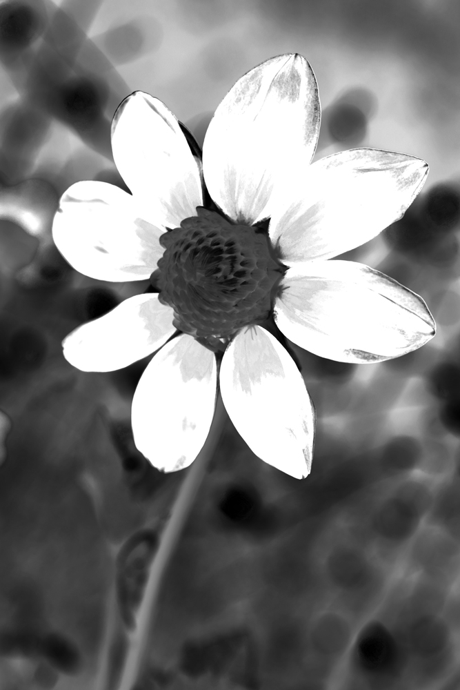AL00865