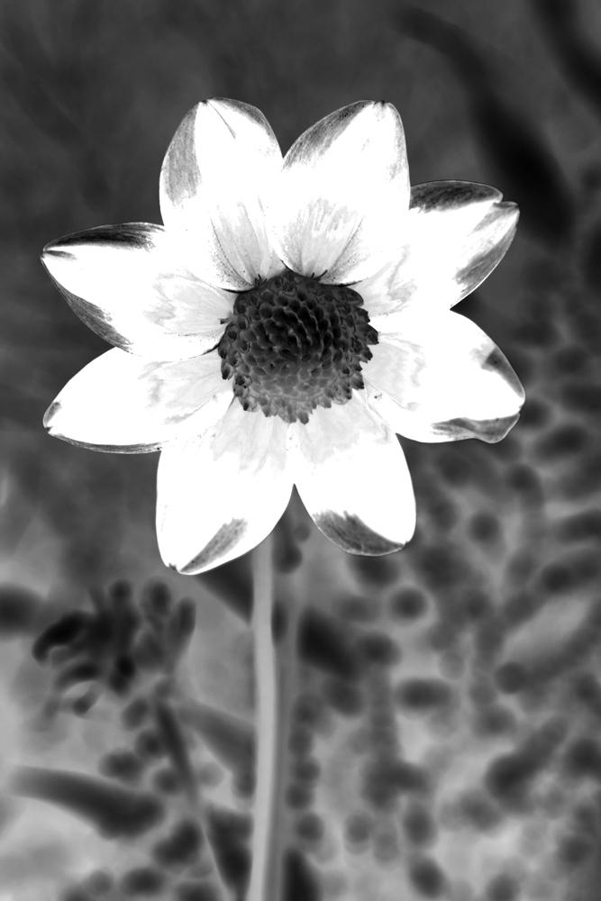 AL00866