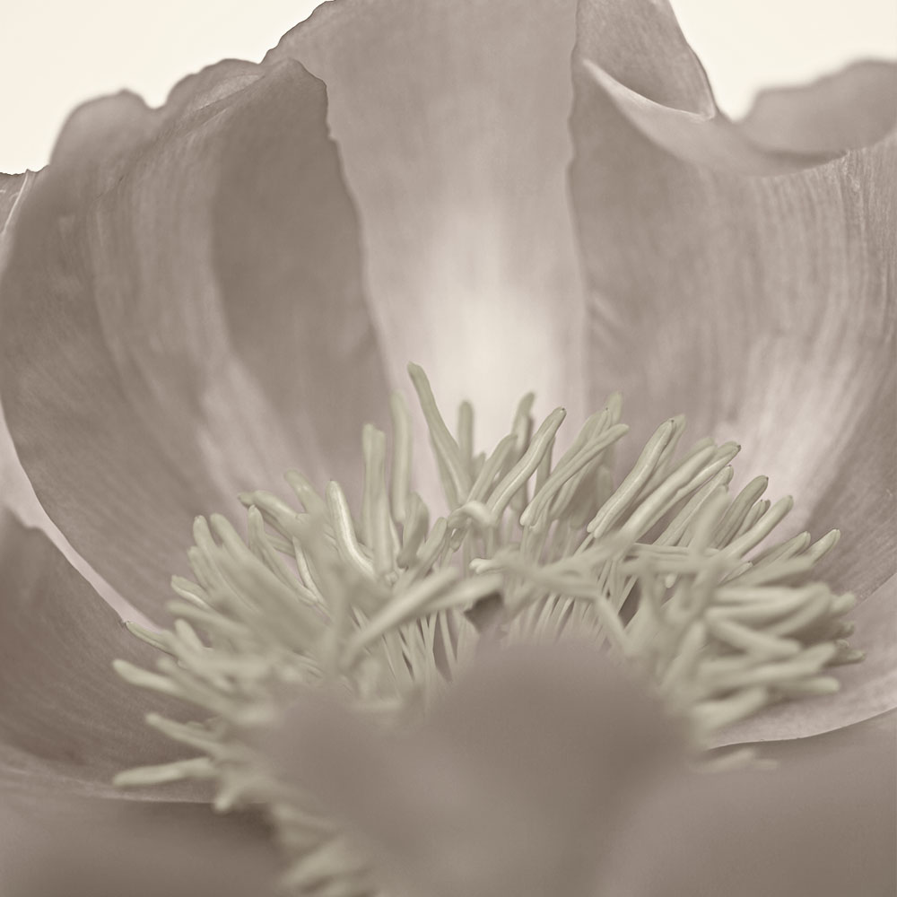 AL00867