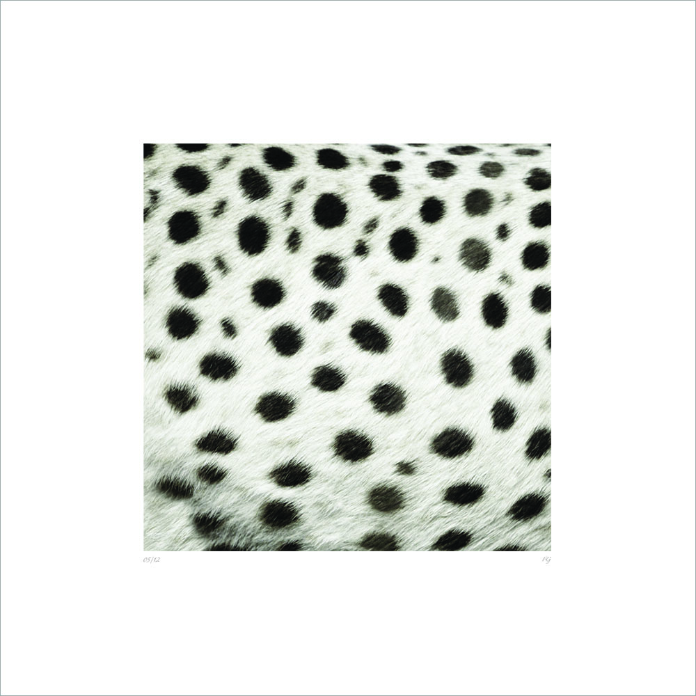AL00895