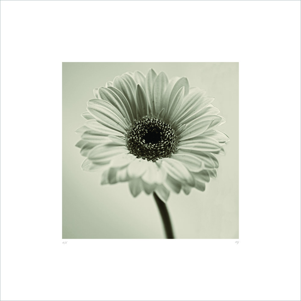AL00906