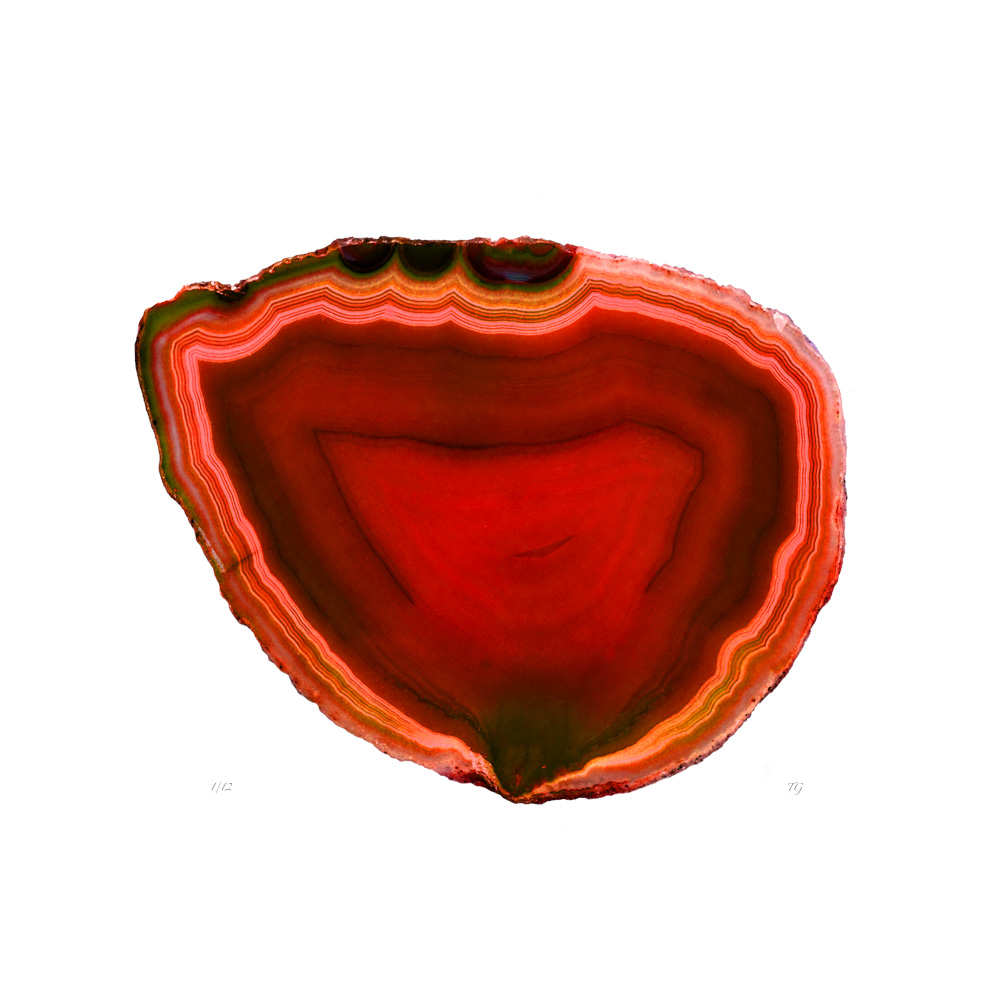 AL00921
