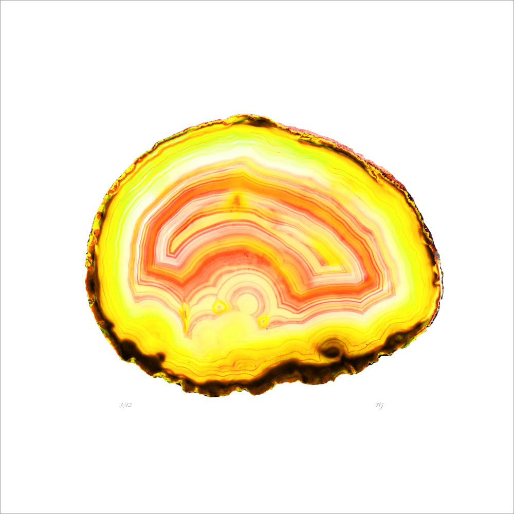 AL00923