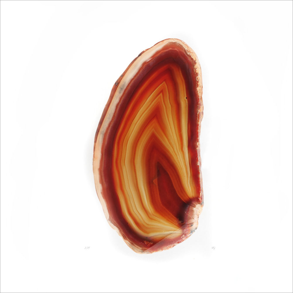 AL00954