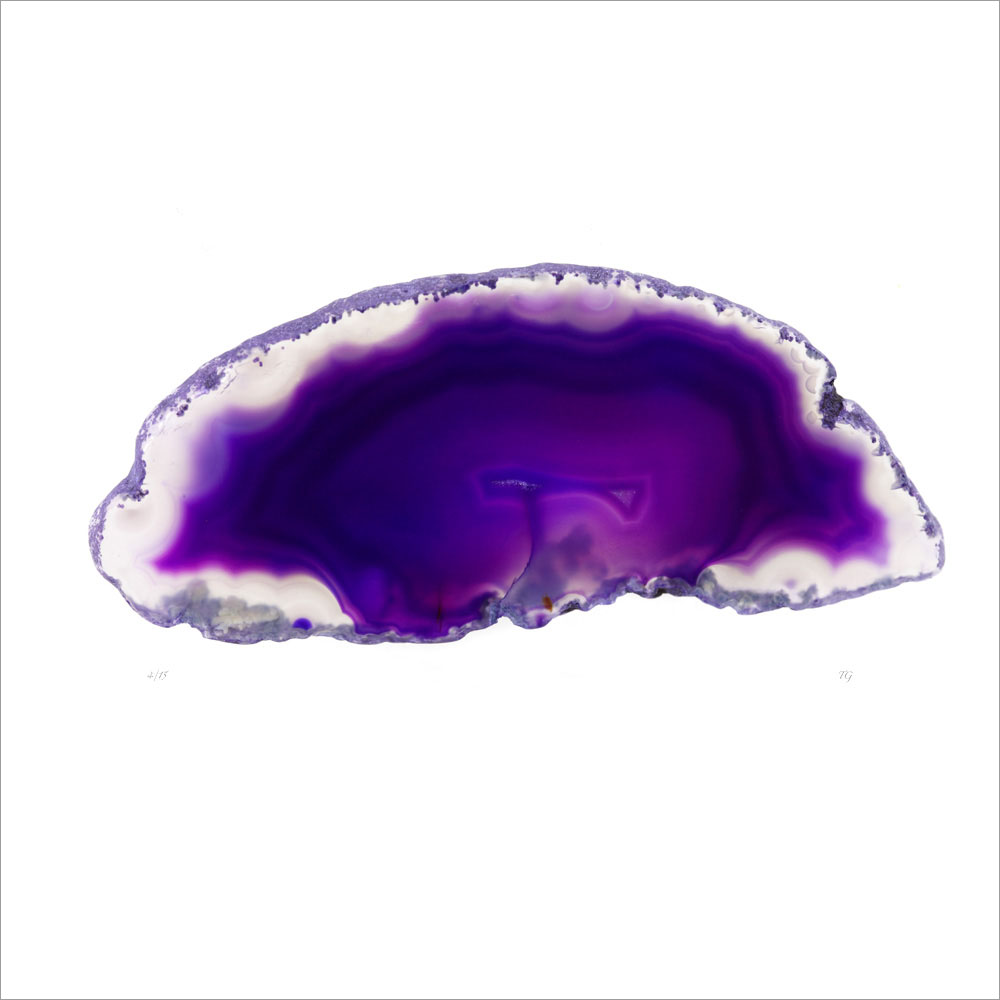AL00955
