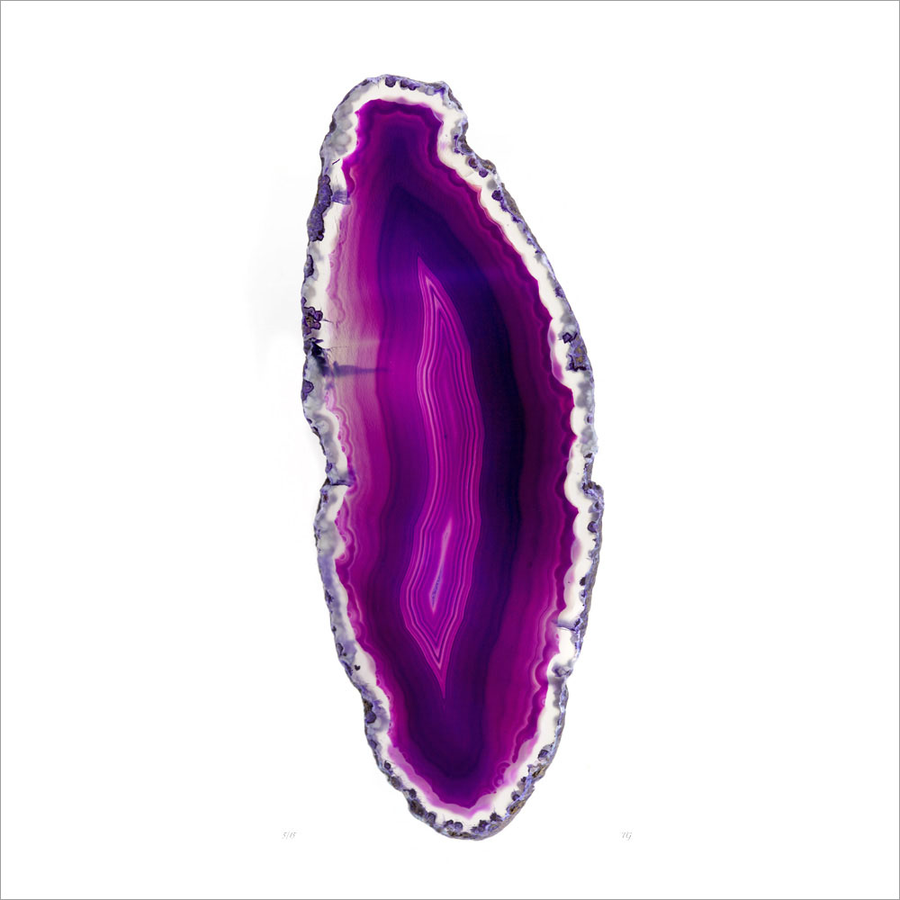 AL00956