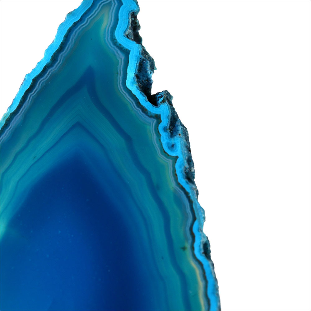 AL01029