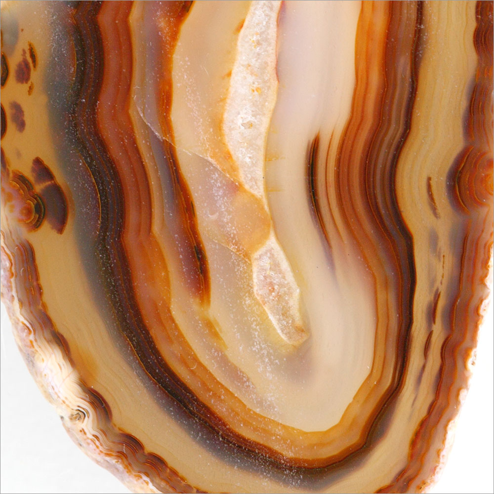 AL01036