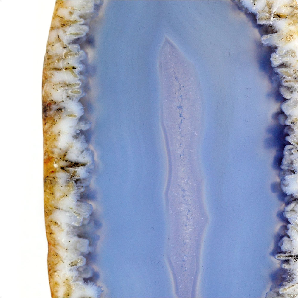 AL01037