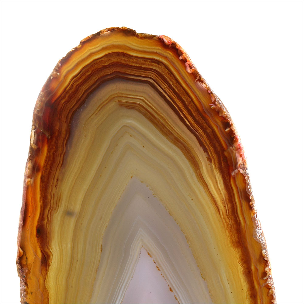 AL01038