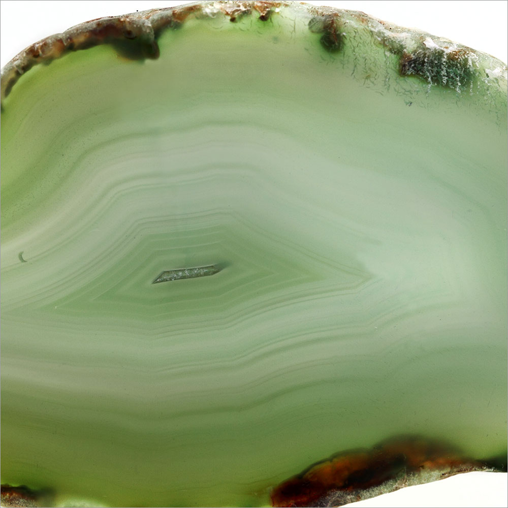 AL01039