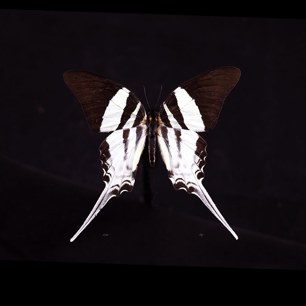 AL01046