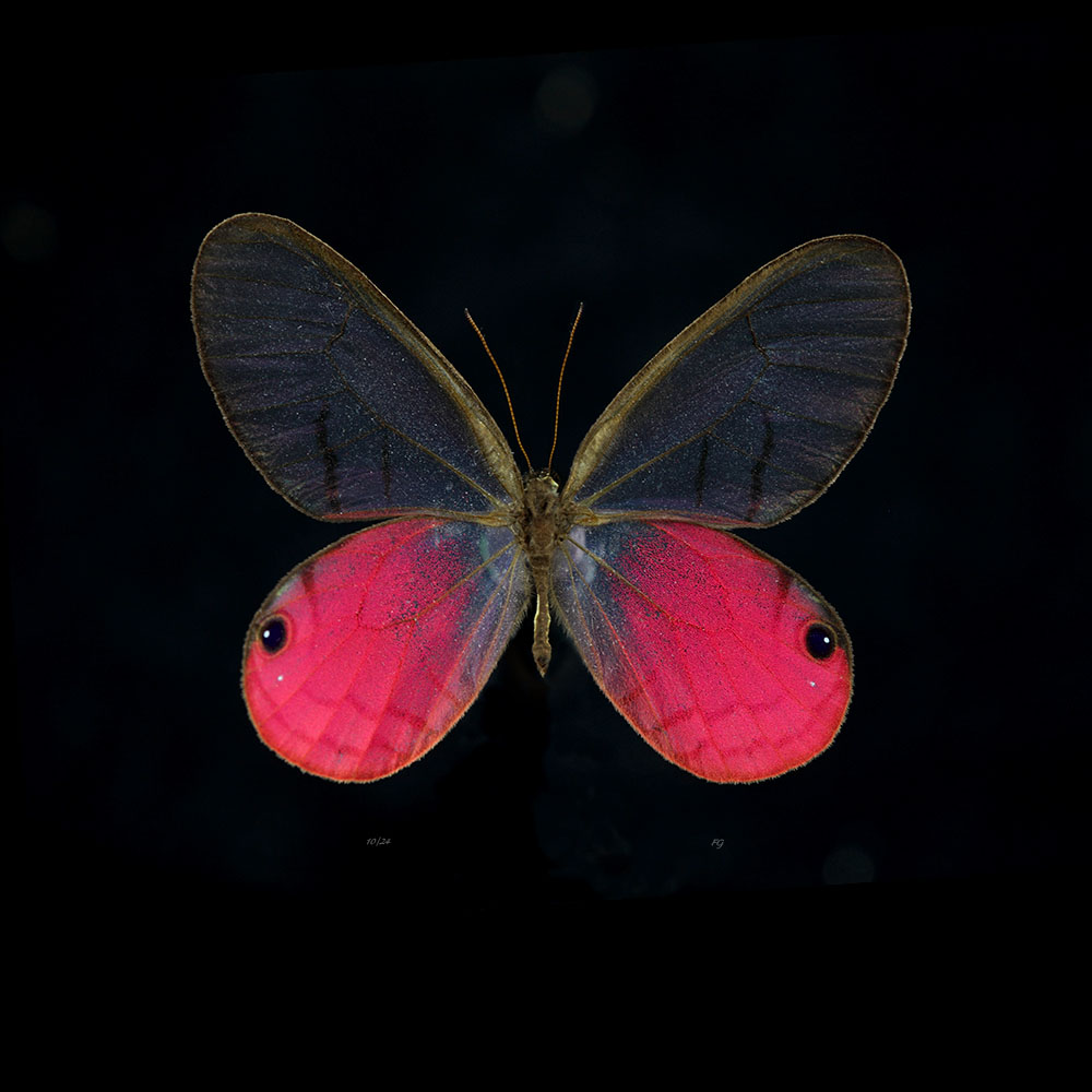 AL01050