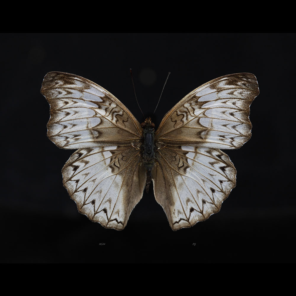 AL01058
