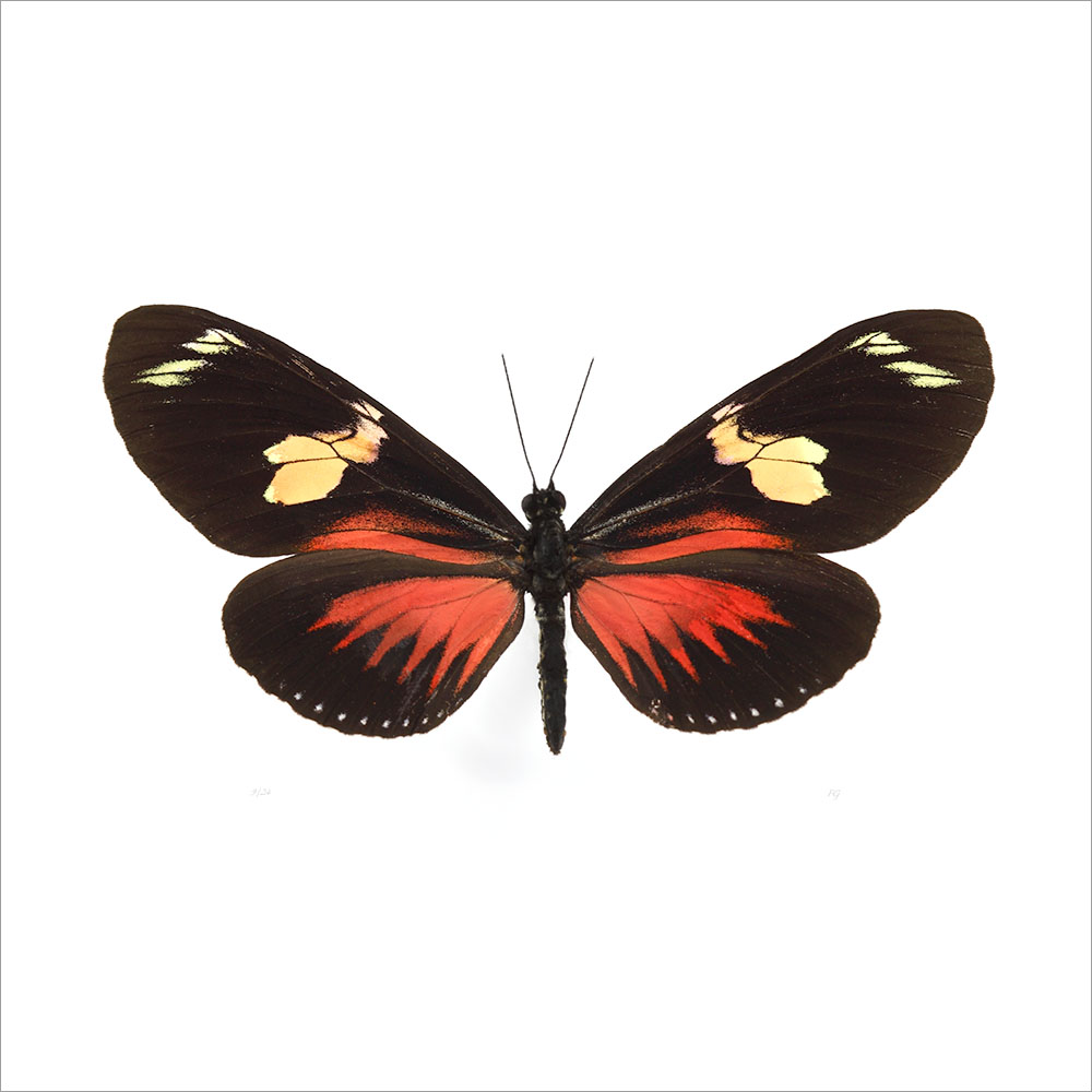AL01073