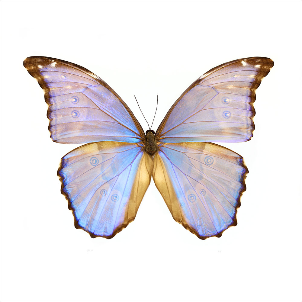 AL01083