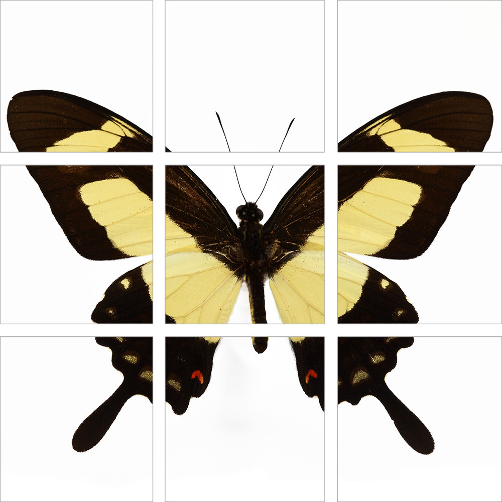 AL01098