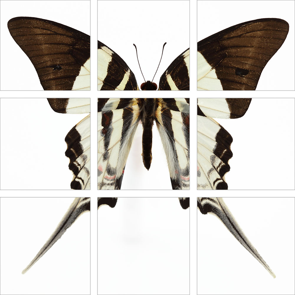 AL01099