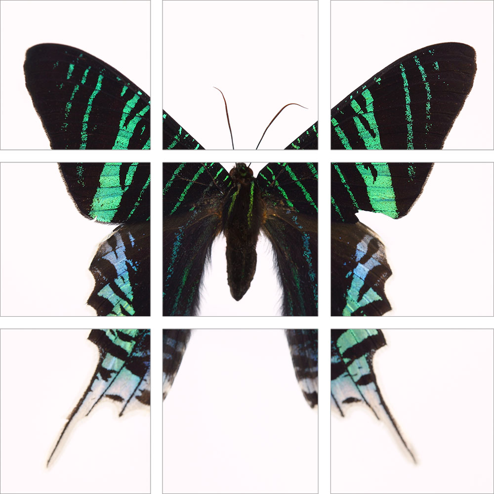 AL01102