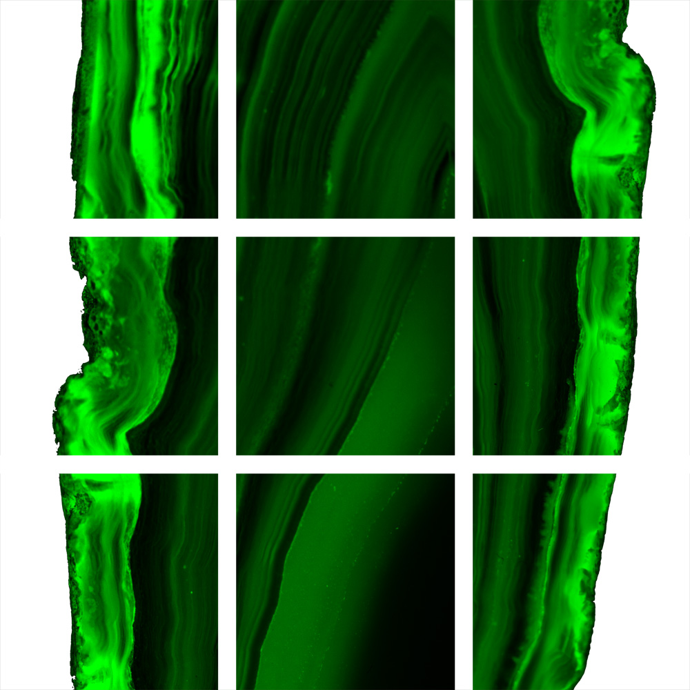 AL01111