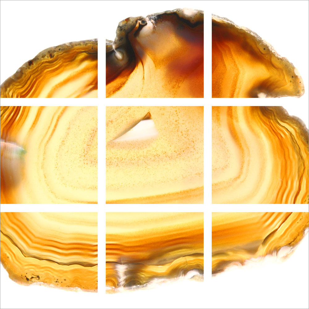 AL01113
