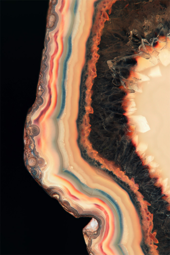 AL01118