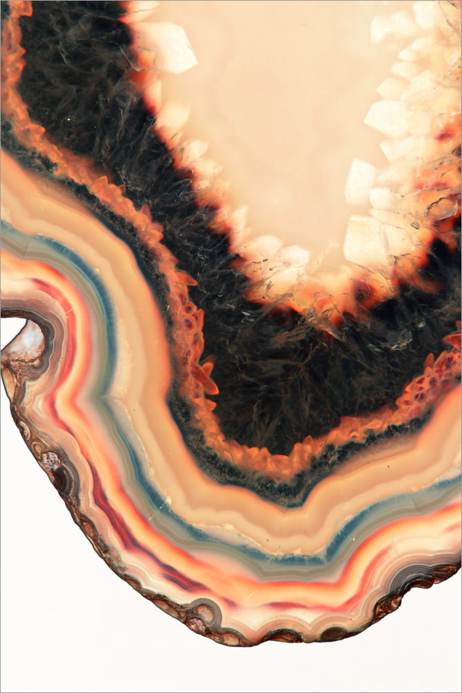 AL01120