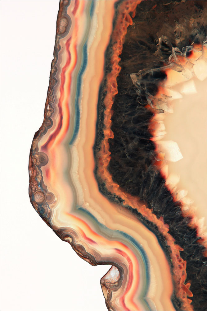 AL01121