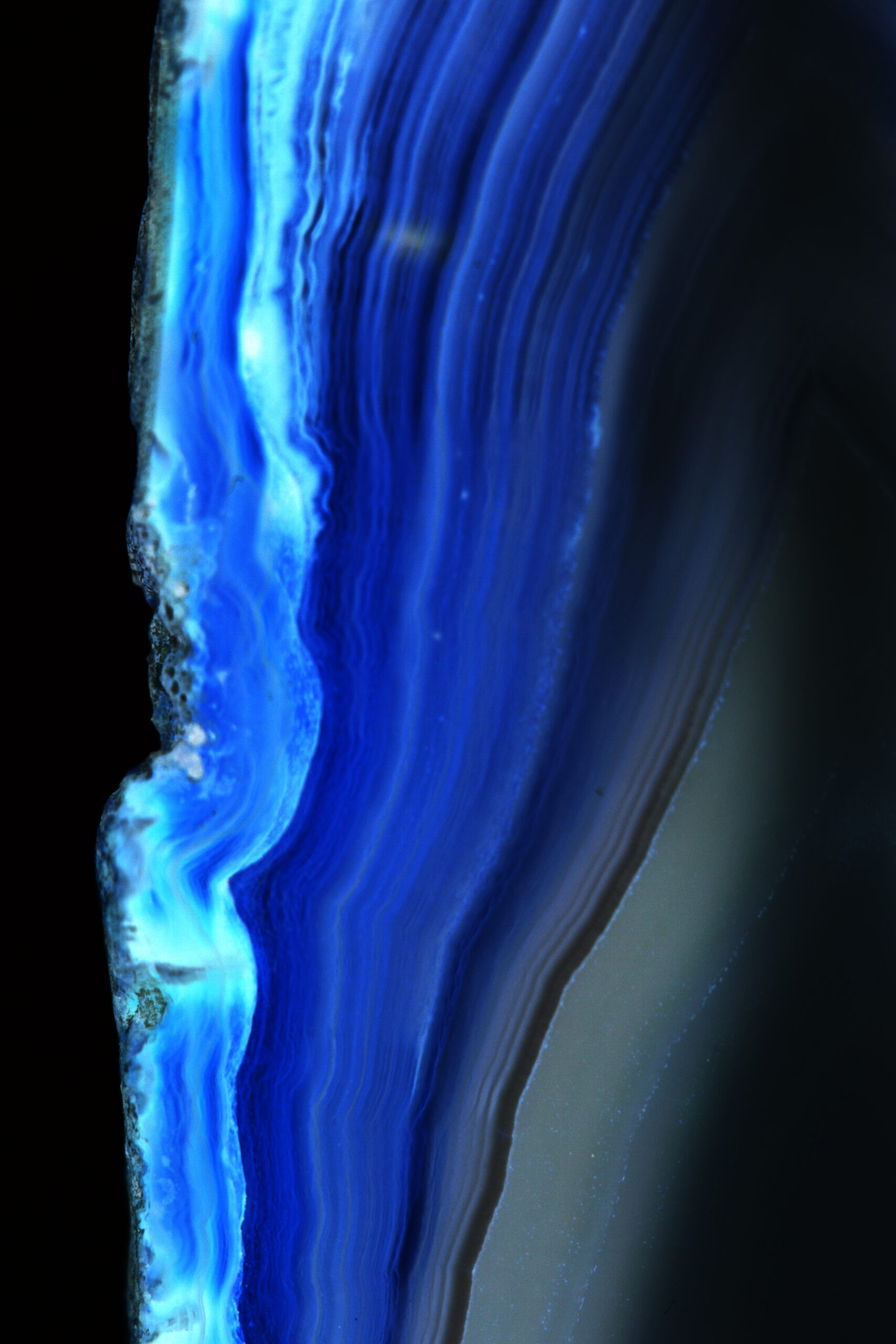 AL01124