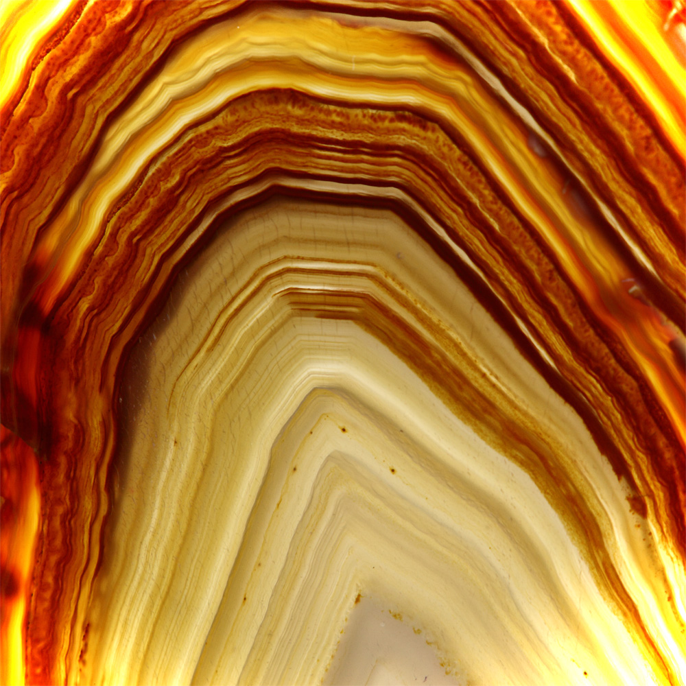 AL01132