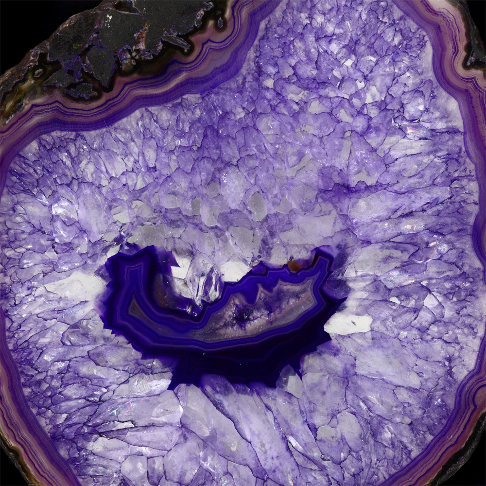 AL01135