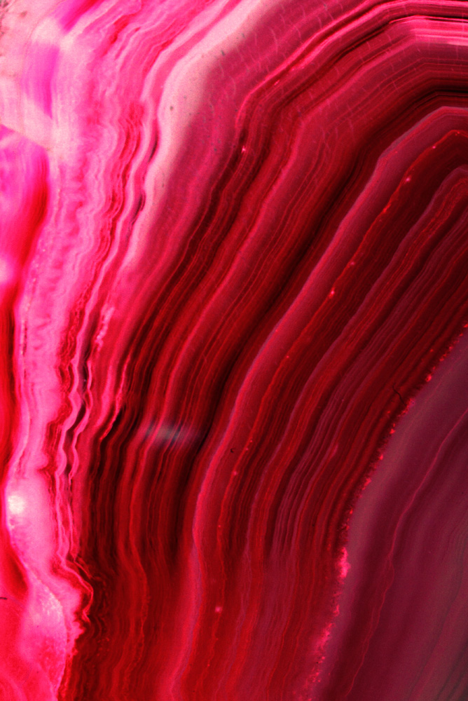 AL01137
