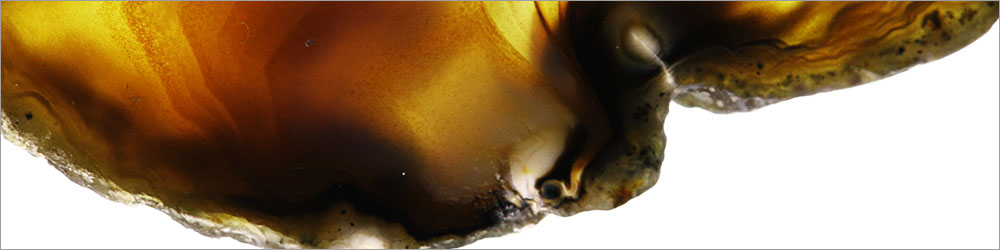 AL01194