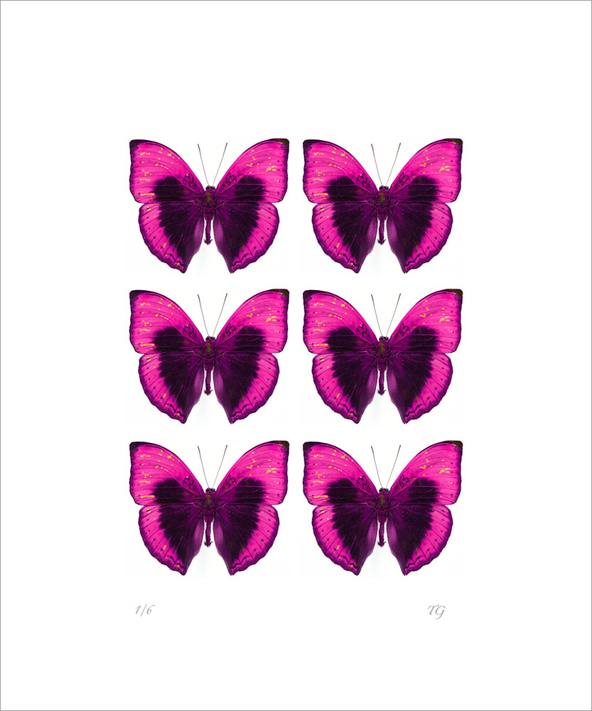 AL01217