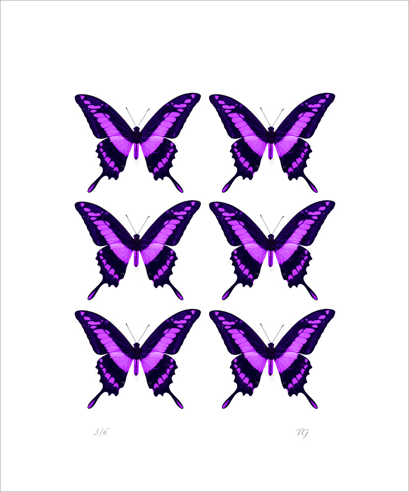 AL01219