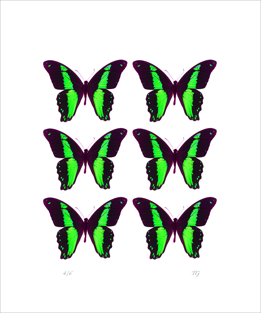 AL01220