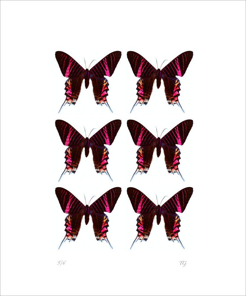 AL01221