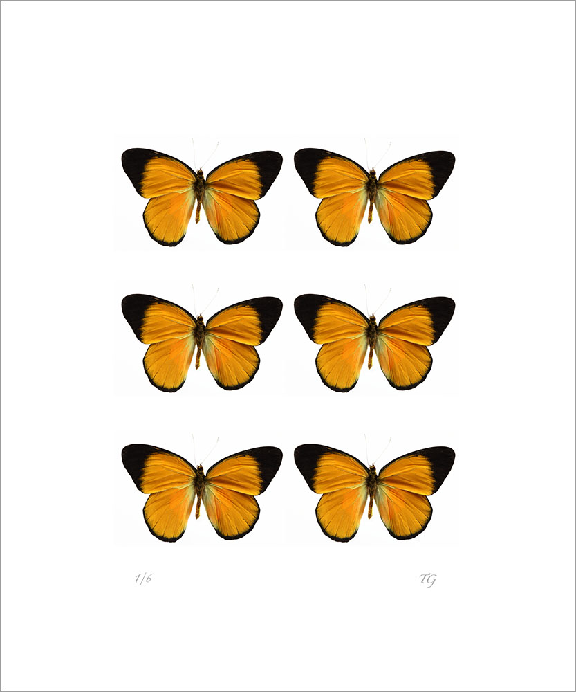 AL01223