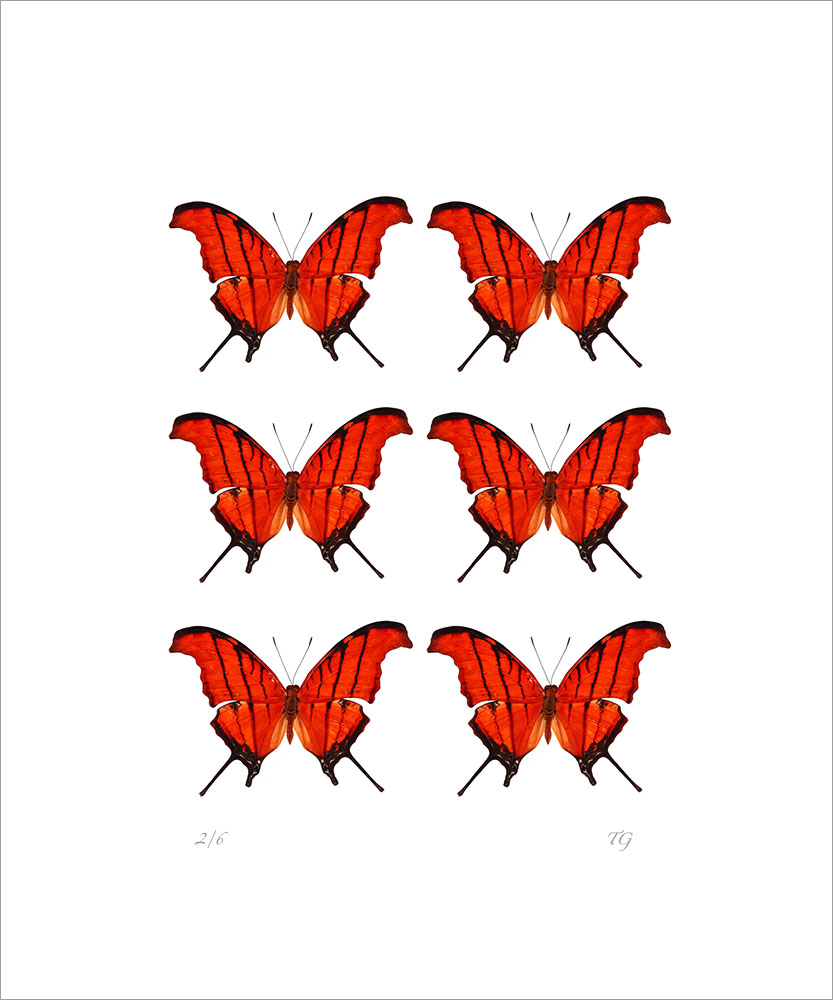 AL01224