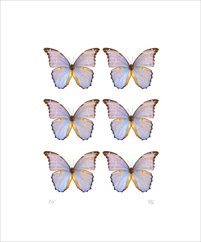 AL01227