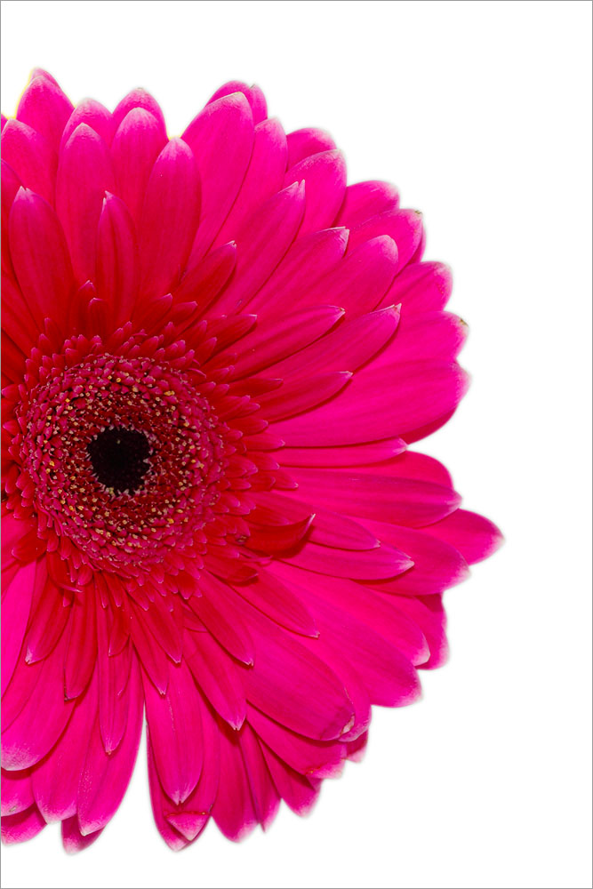 AL01378 more colors
