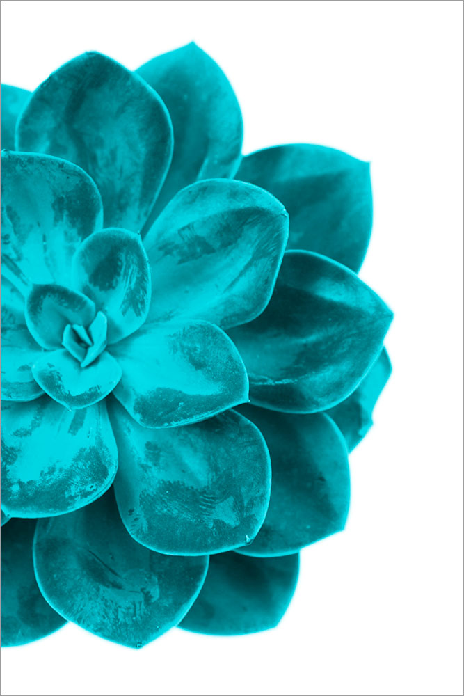 AL01379 more colors