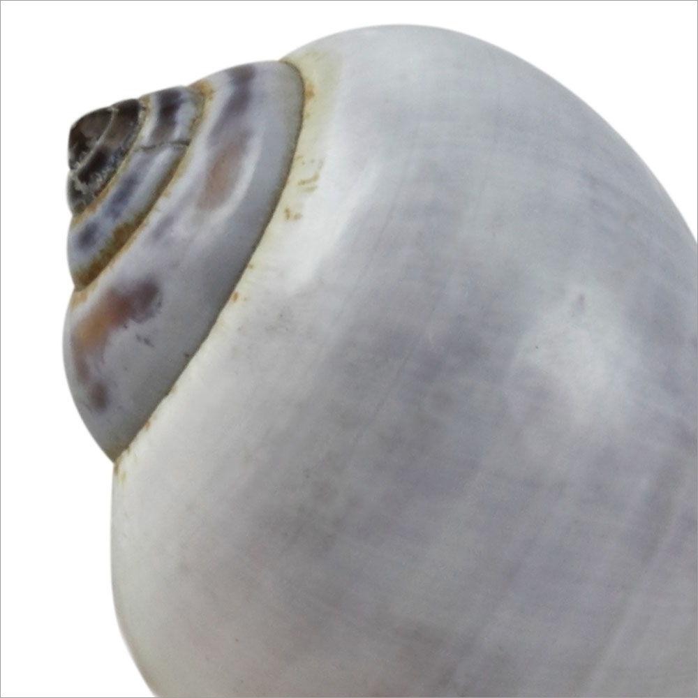 AL01405