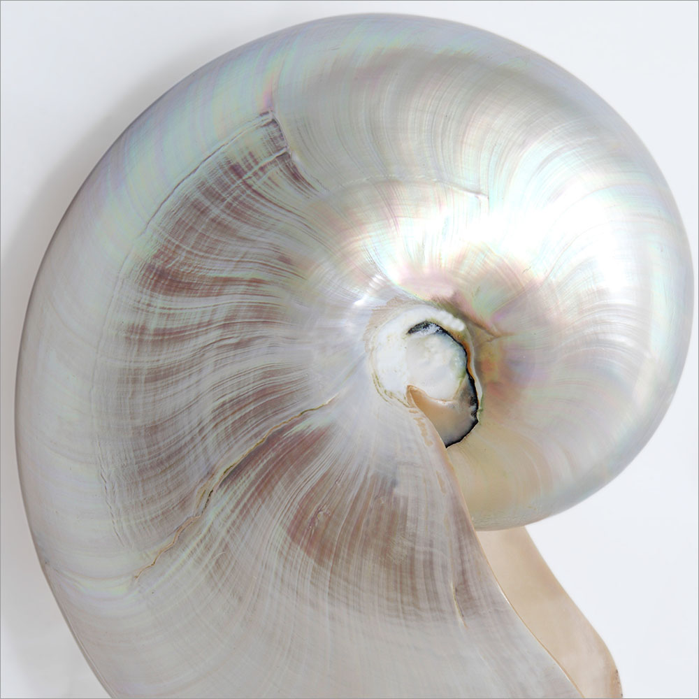 AL01407