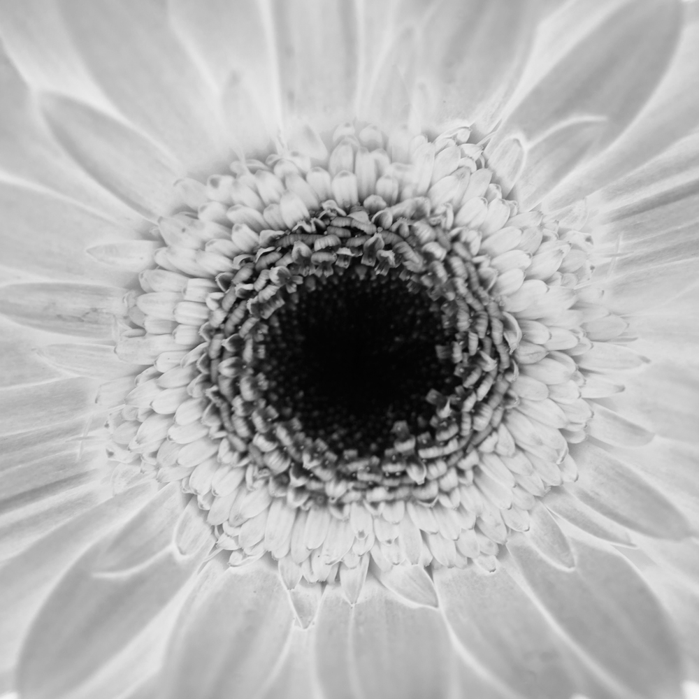 AL00120