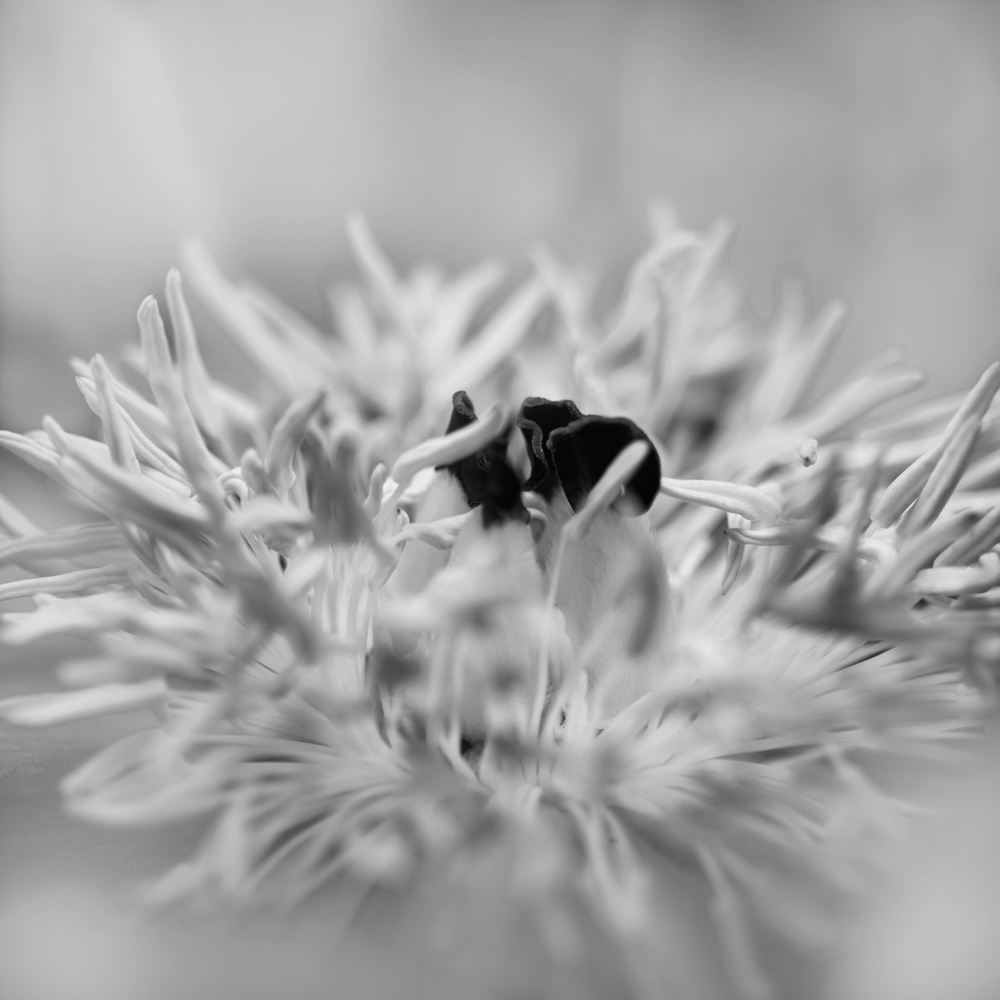AL00124