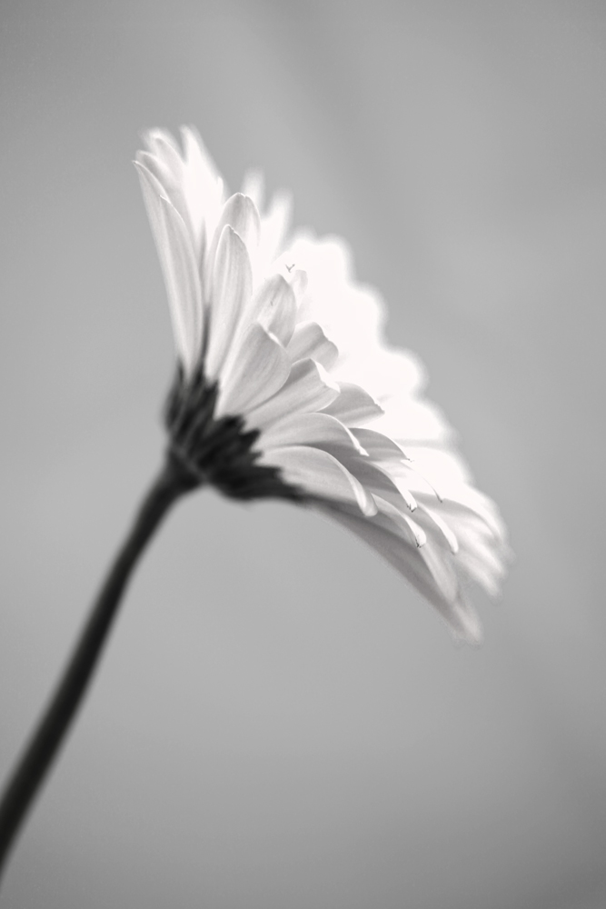 AL00126